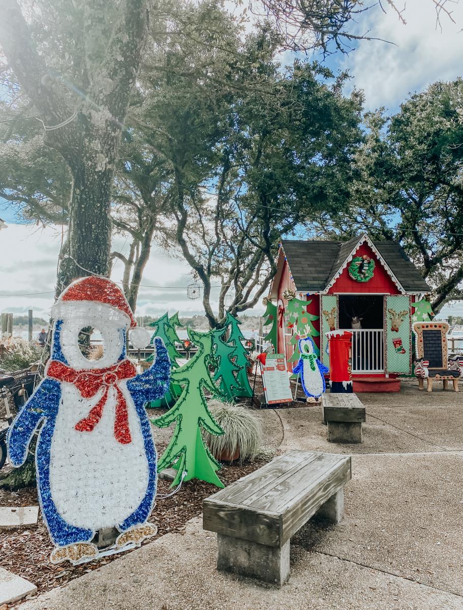 The Coastal Blonde Beaufort Christmas Lights