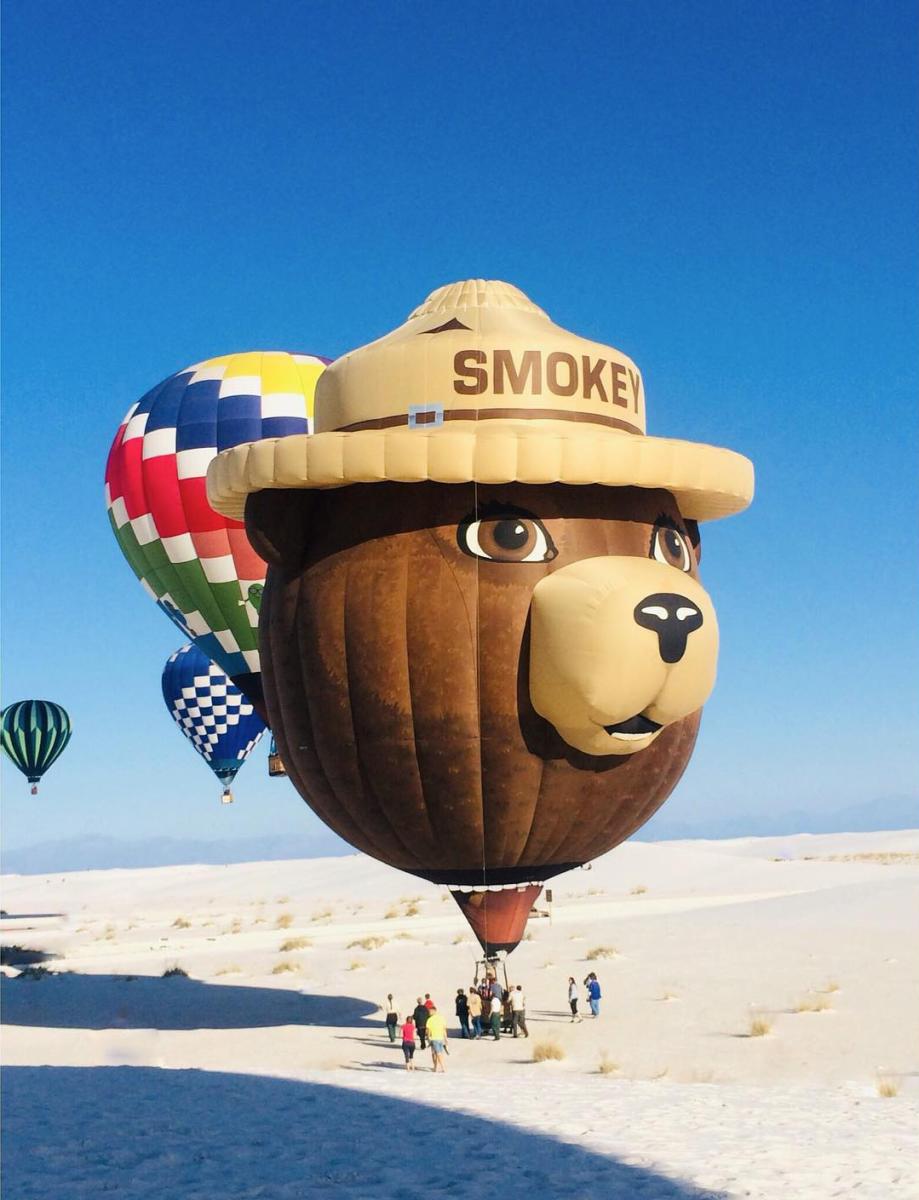 Hot Air Balloon Instagram Photo Contest