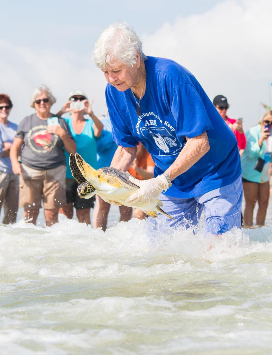 Turtle Release