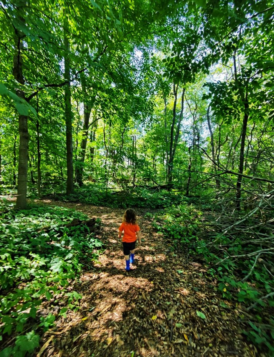 Celery Bog Nature Area