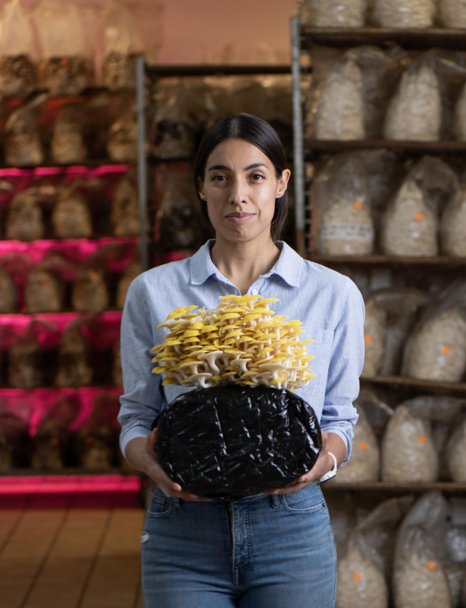 Founder of Full Circle Mushrooms holding a block of golden mushrooms in her fruiting room in La Mesa, New Mexico.