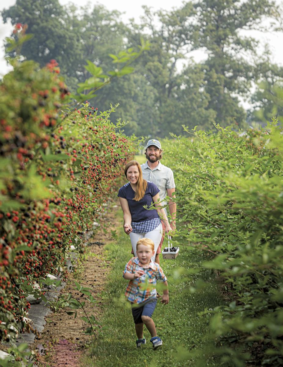 Berry Farm