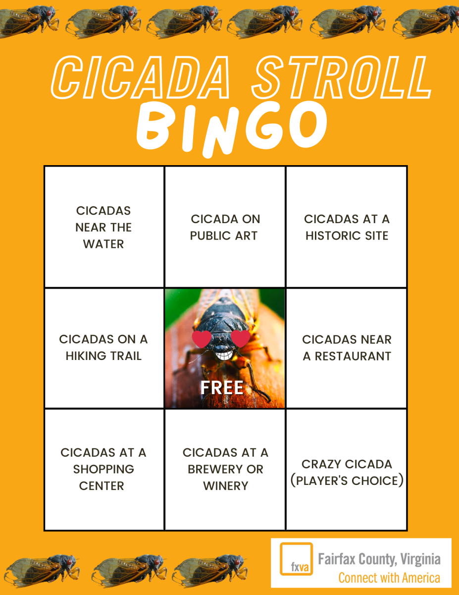 Cicada Stroll Bingo