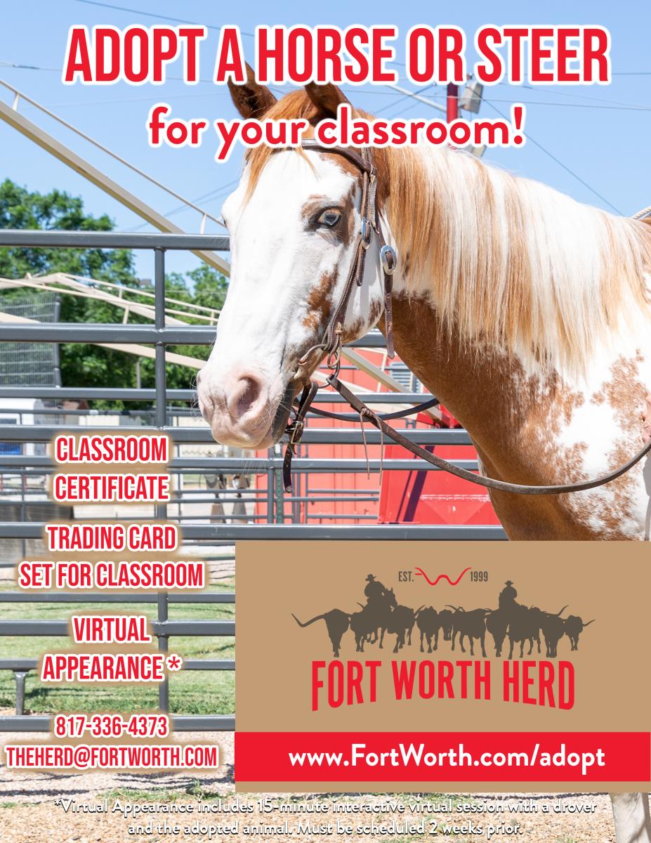 Horse for Classroom