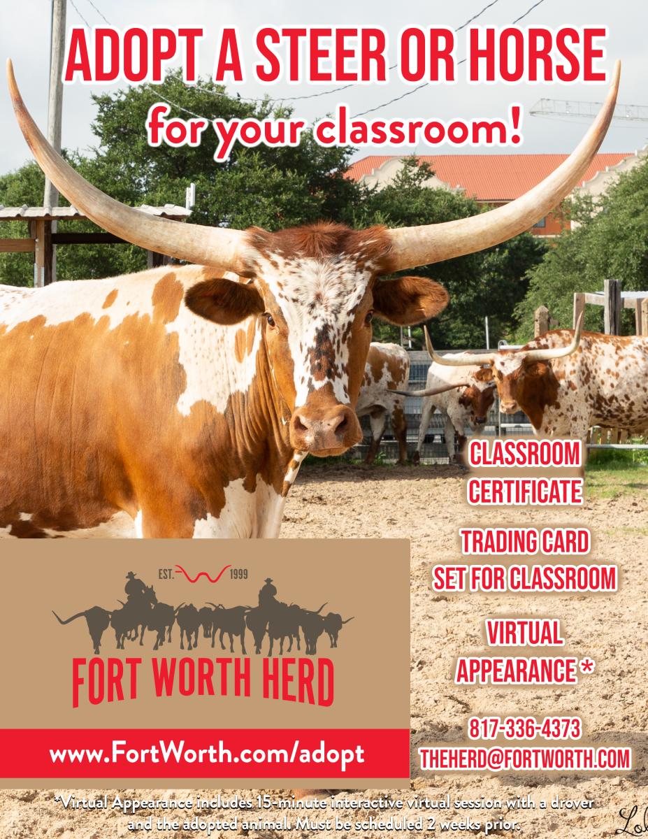 Steer for Classroom