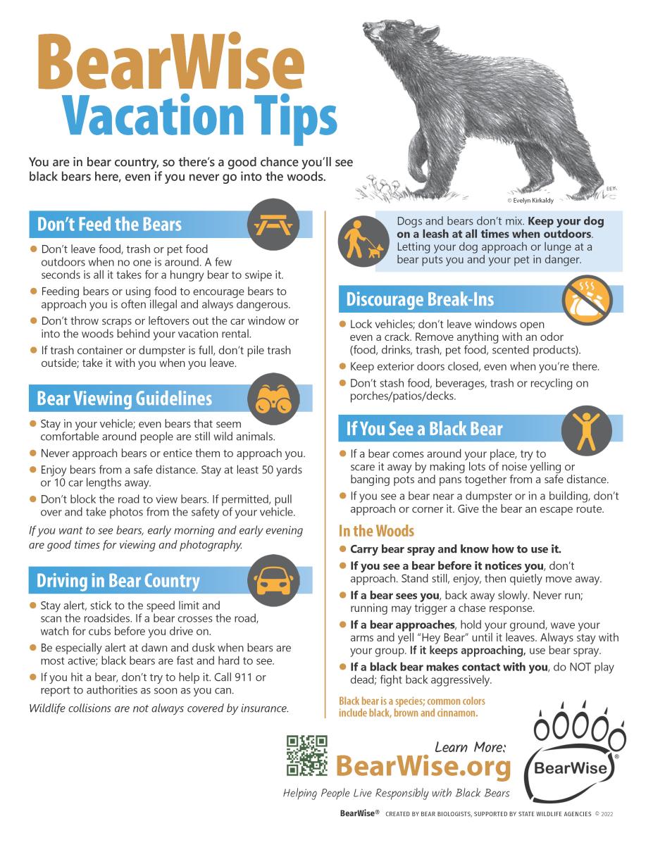 BearWise Vacation Tips