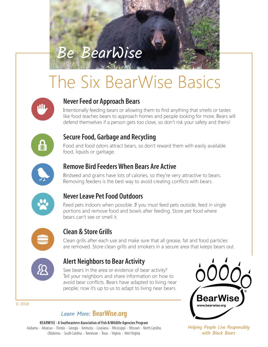 BearWise Basics