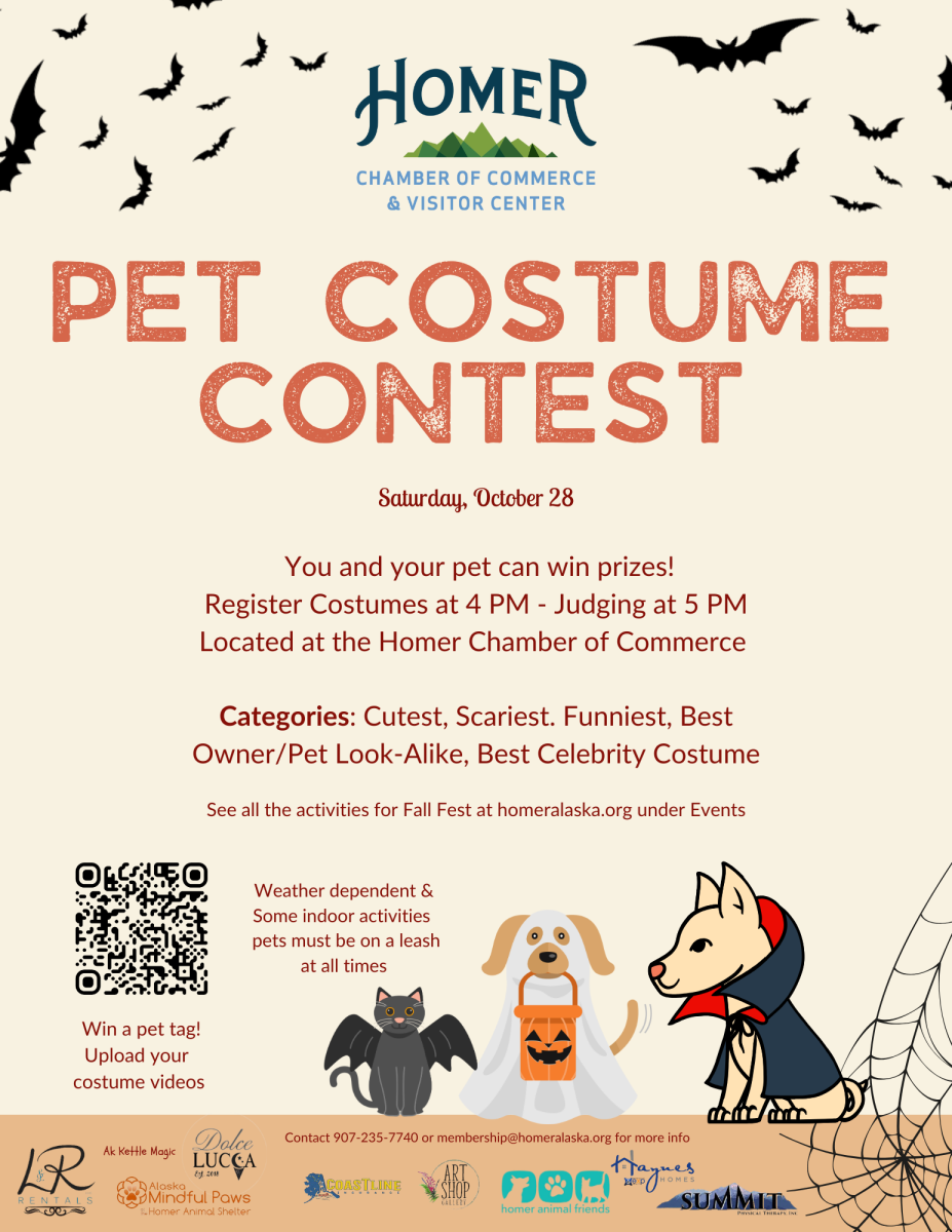 Pet costume