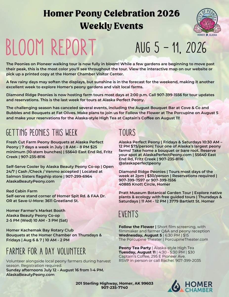 Week 6 Bloom report