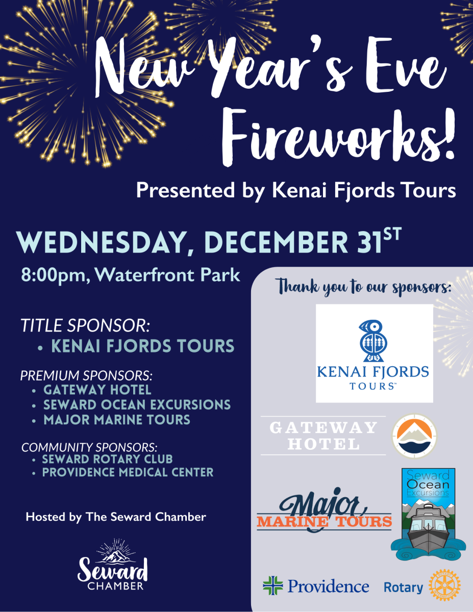 NYE Fireworks Flyer
