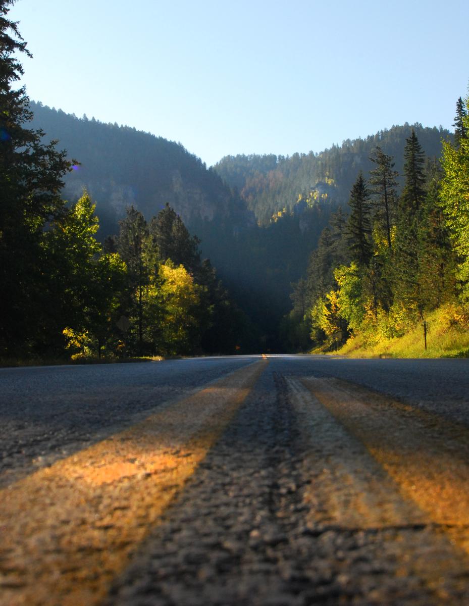 Spearfish Canyon Road with the view of Spearfish Canyon beyond the road