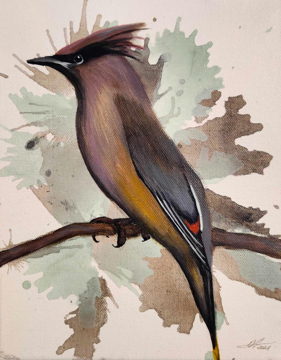 Brothe Cedar Waxwing