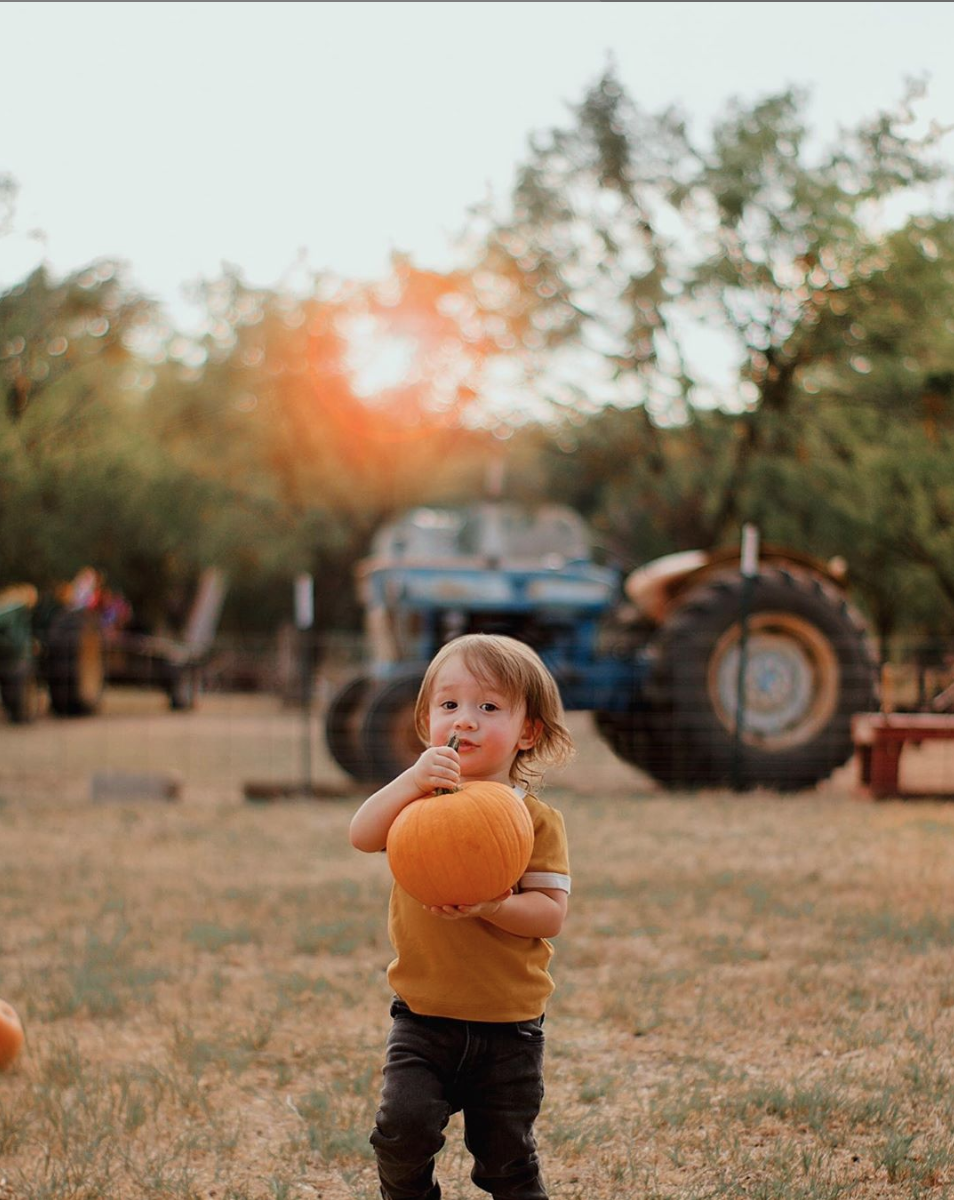 Kid_SweetBerryFarm2