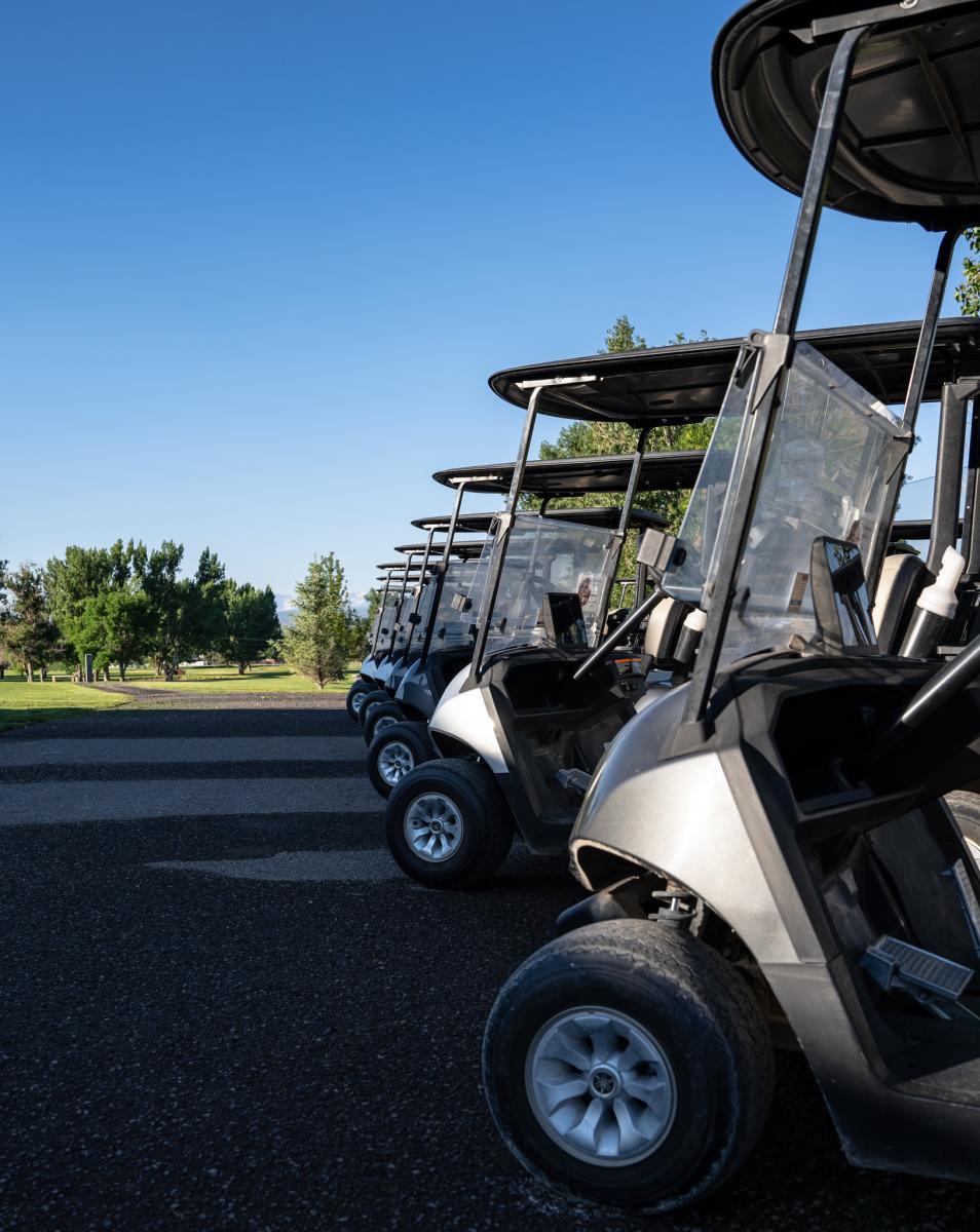 8 golf carts lined up diagonally in front of the greens at Black Canyon Golf Course.