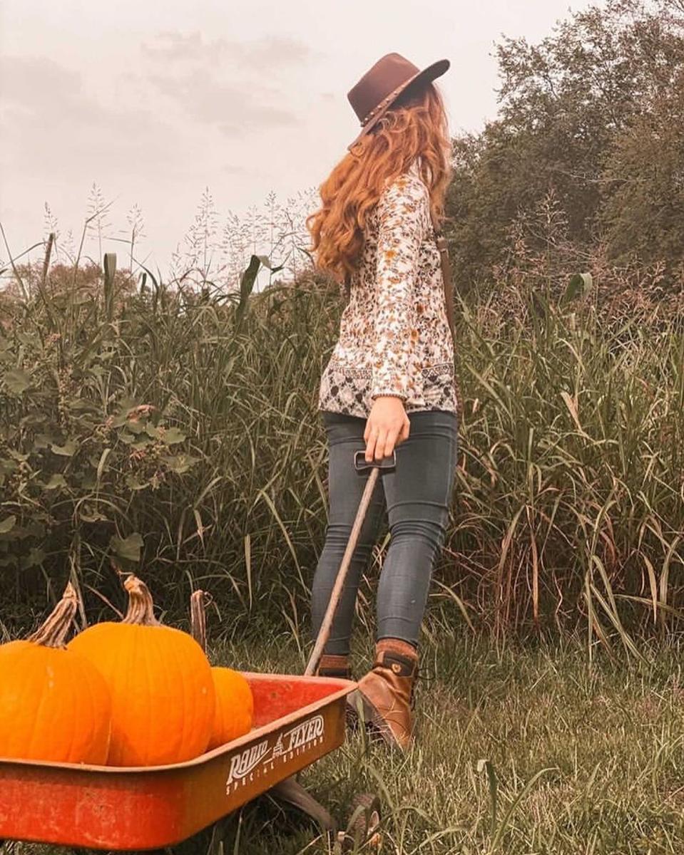 Hidden Rivers Farm pumpkins