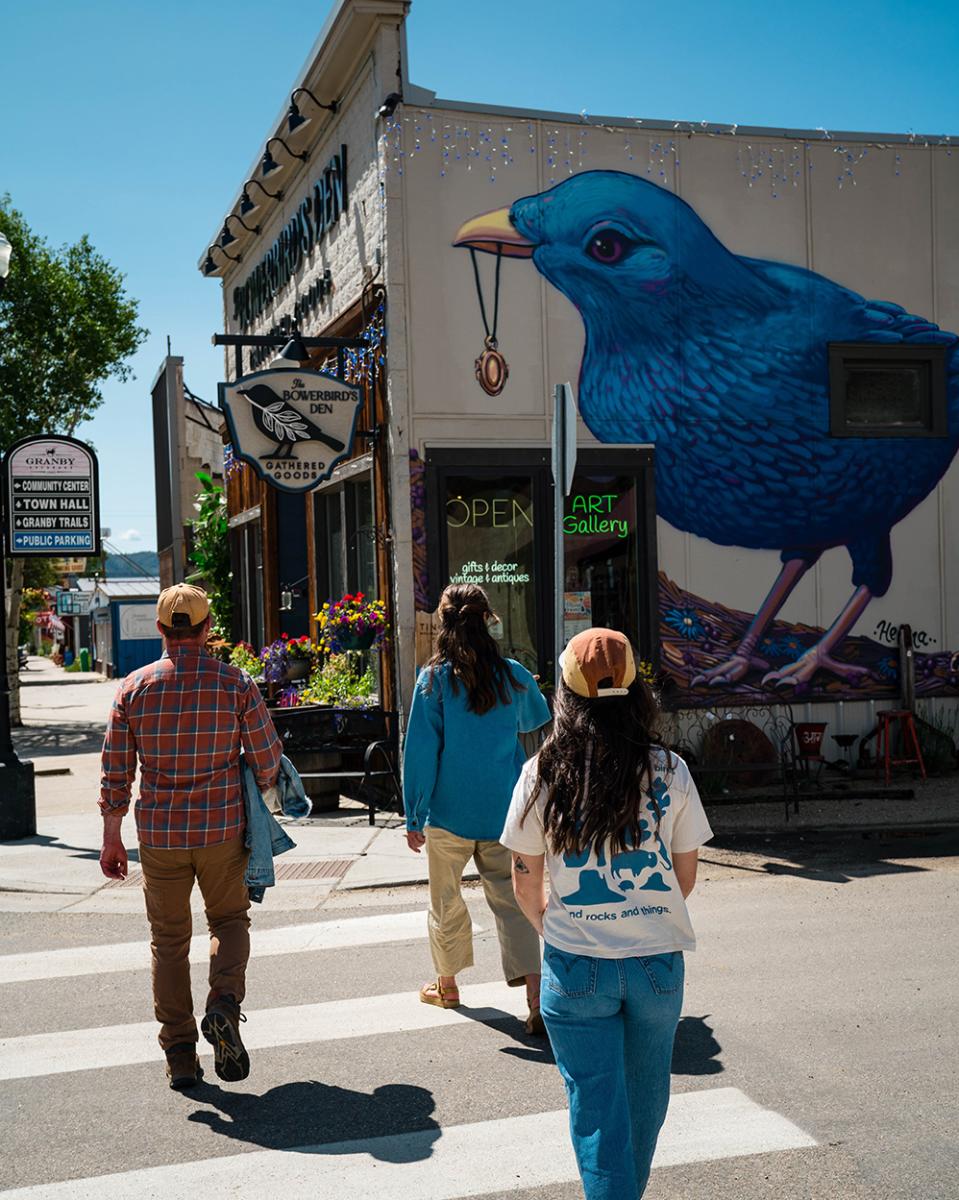 Granby Main Street Bowerbird