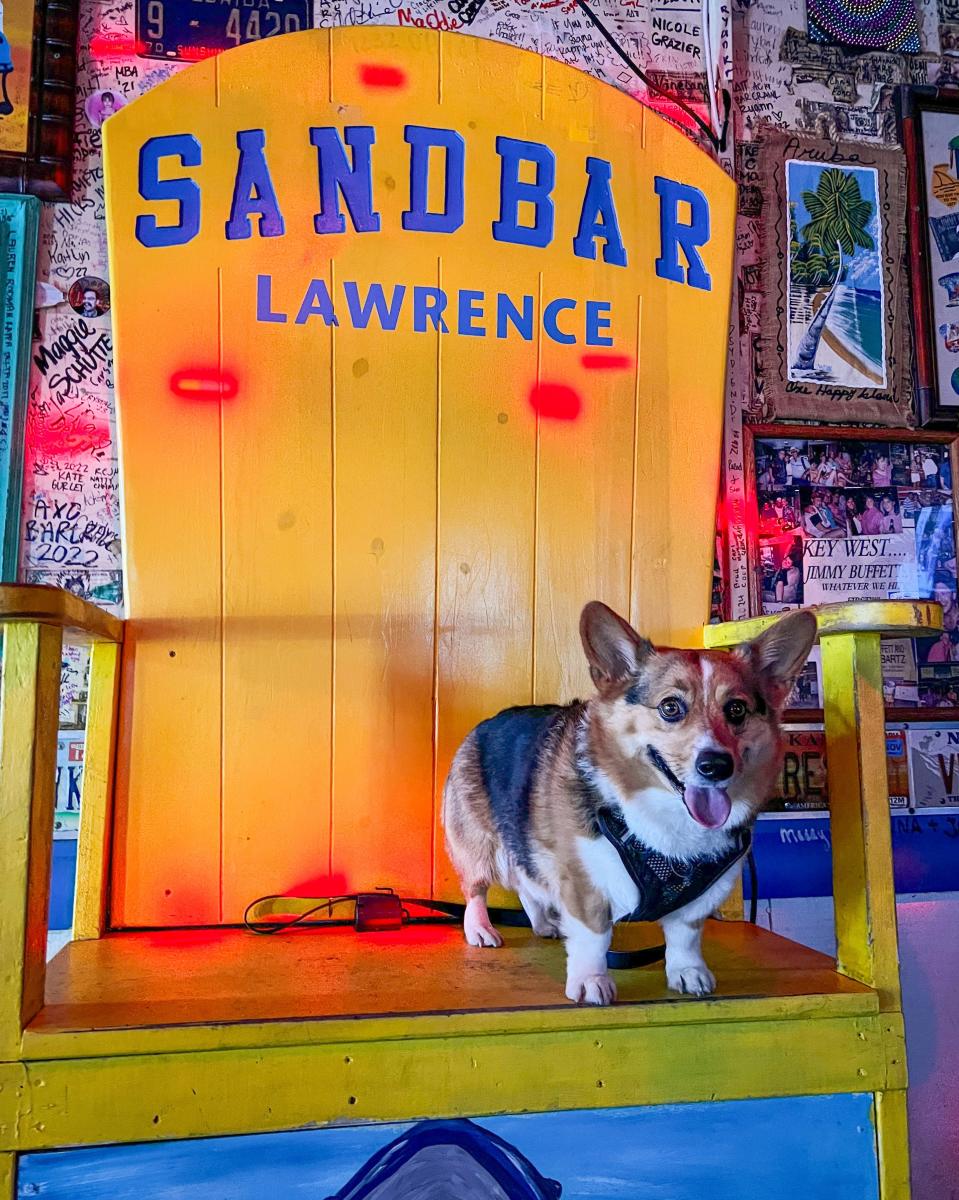 Batman at the Sandbar