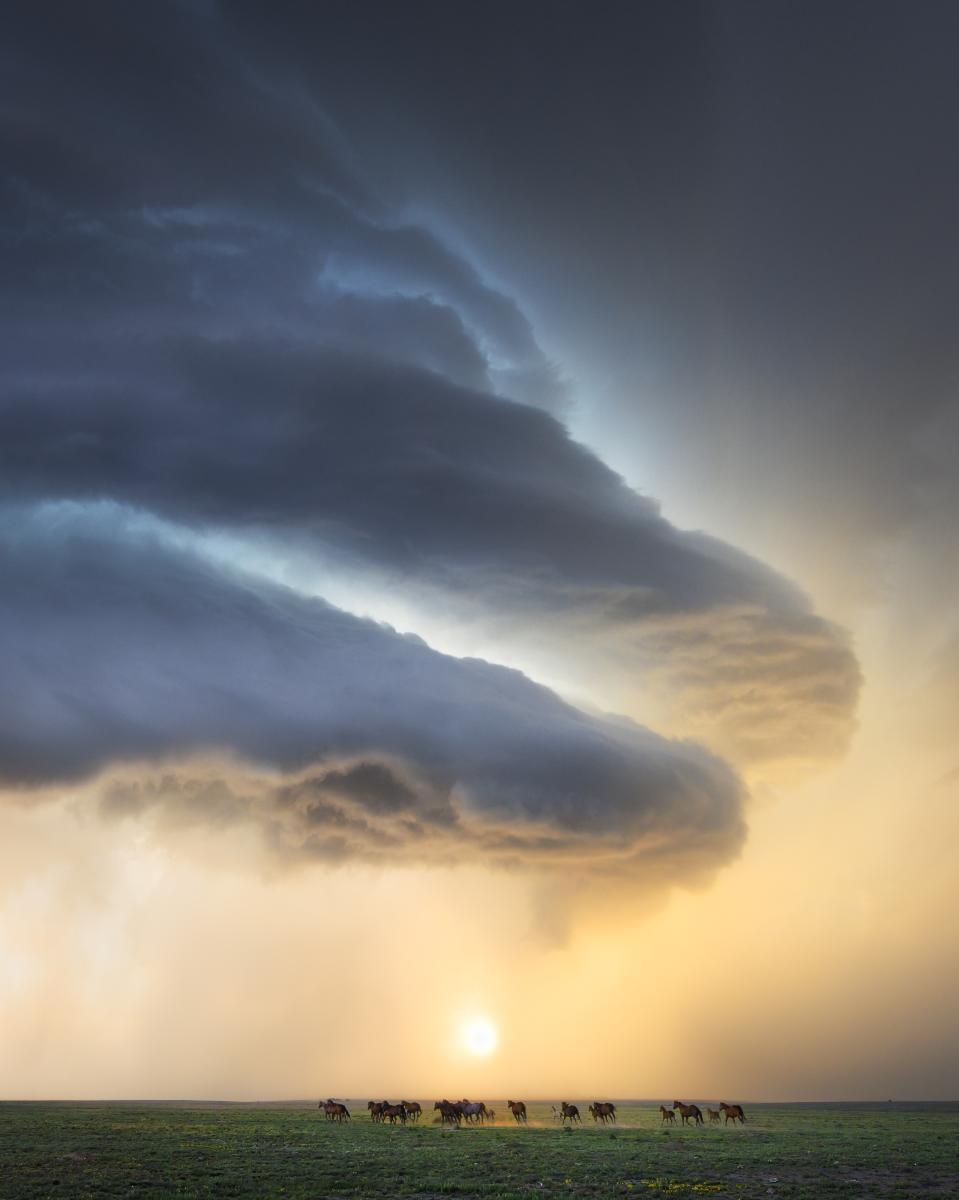 A dramatic sky with dark, swirling storm clouds looms over a grassy plain at sunset, where a herd of wild horses runs freely.