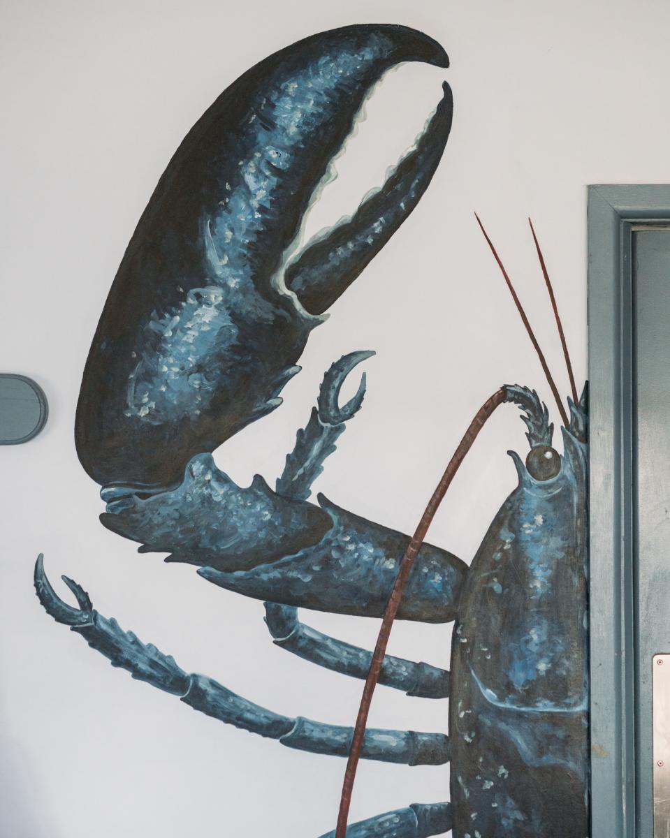 Illustration of a lobster