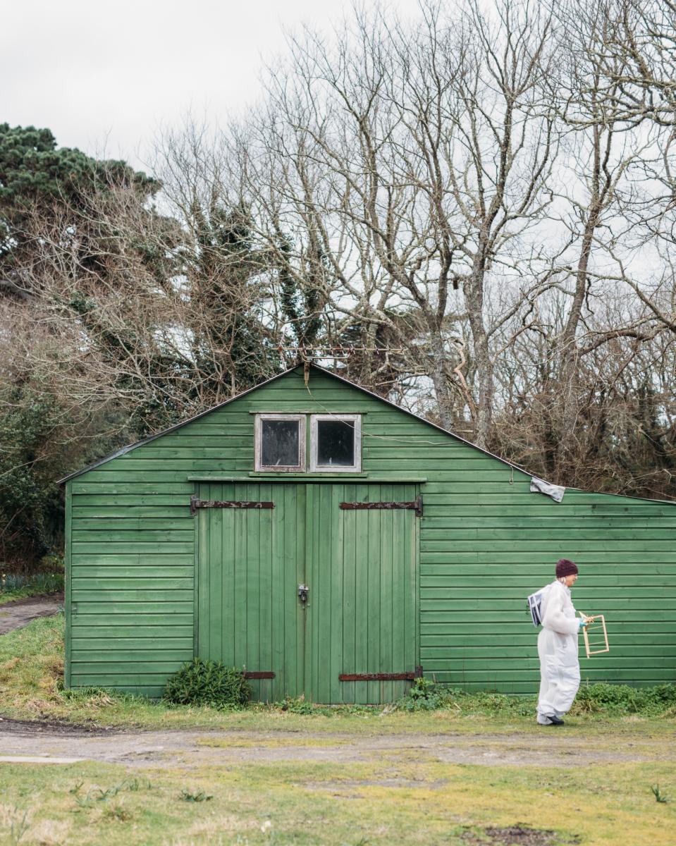 A green hut in the Abbey Garden