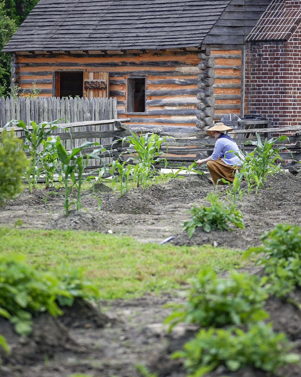 Garden at the American Revolution Museum