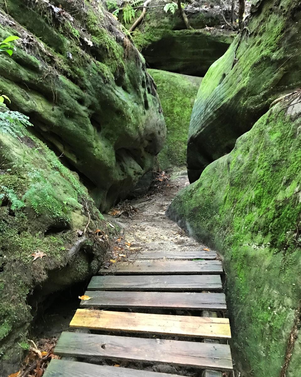 Carley’s Adventures: Dismals Canyon