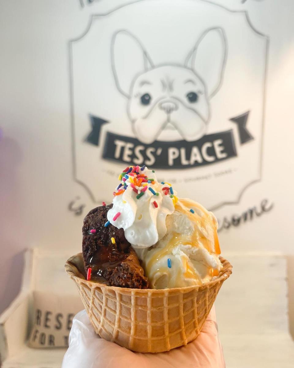 picture of a bowl of delicious ice cream with sprinkles at tess' place