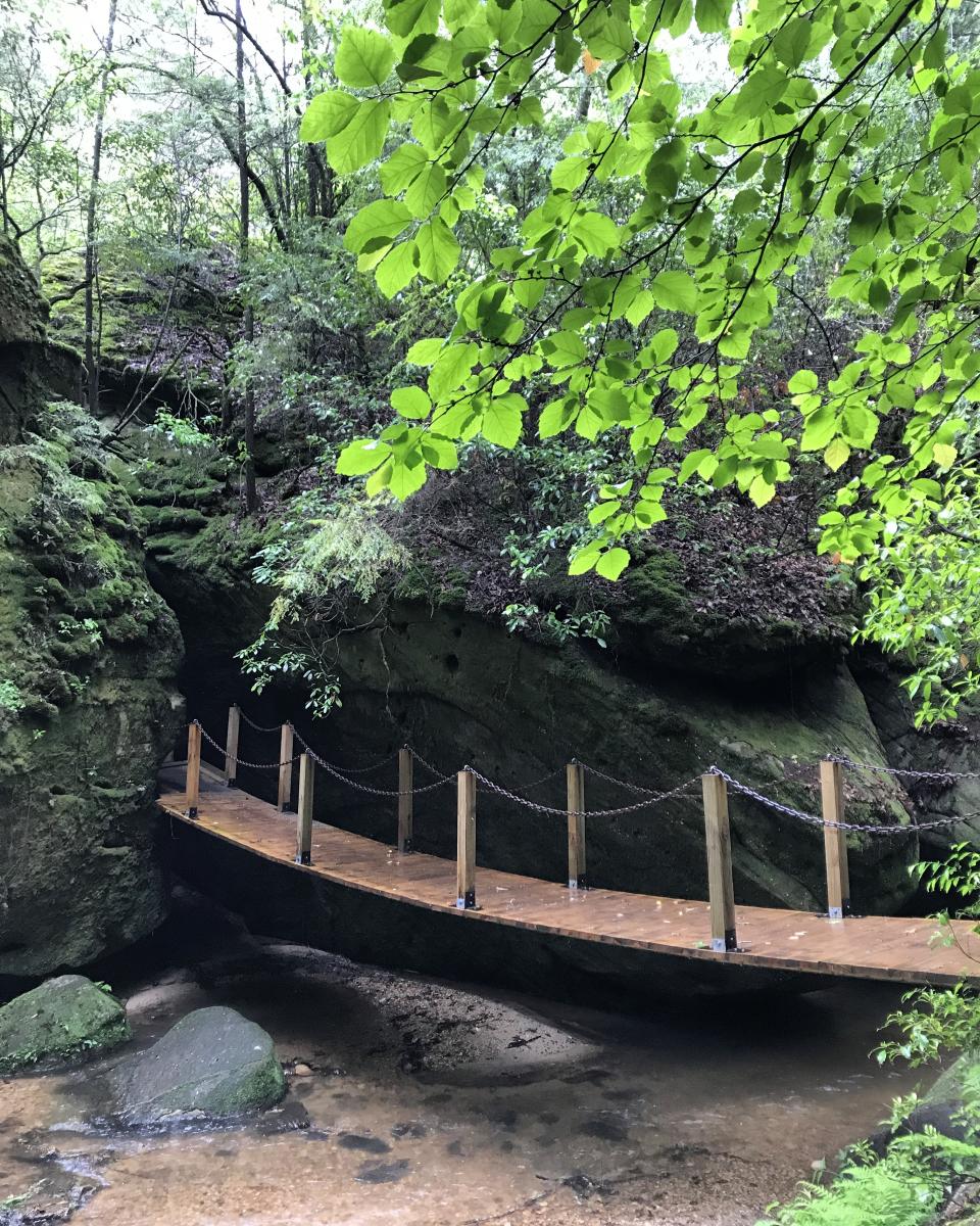 Small bridge over creek in Dismals Canyon