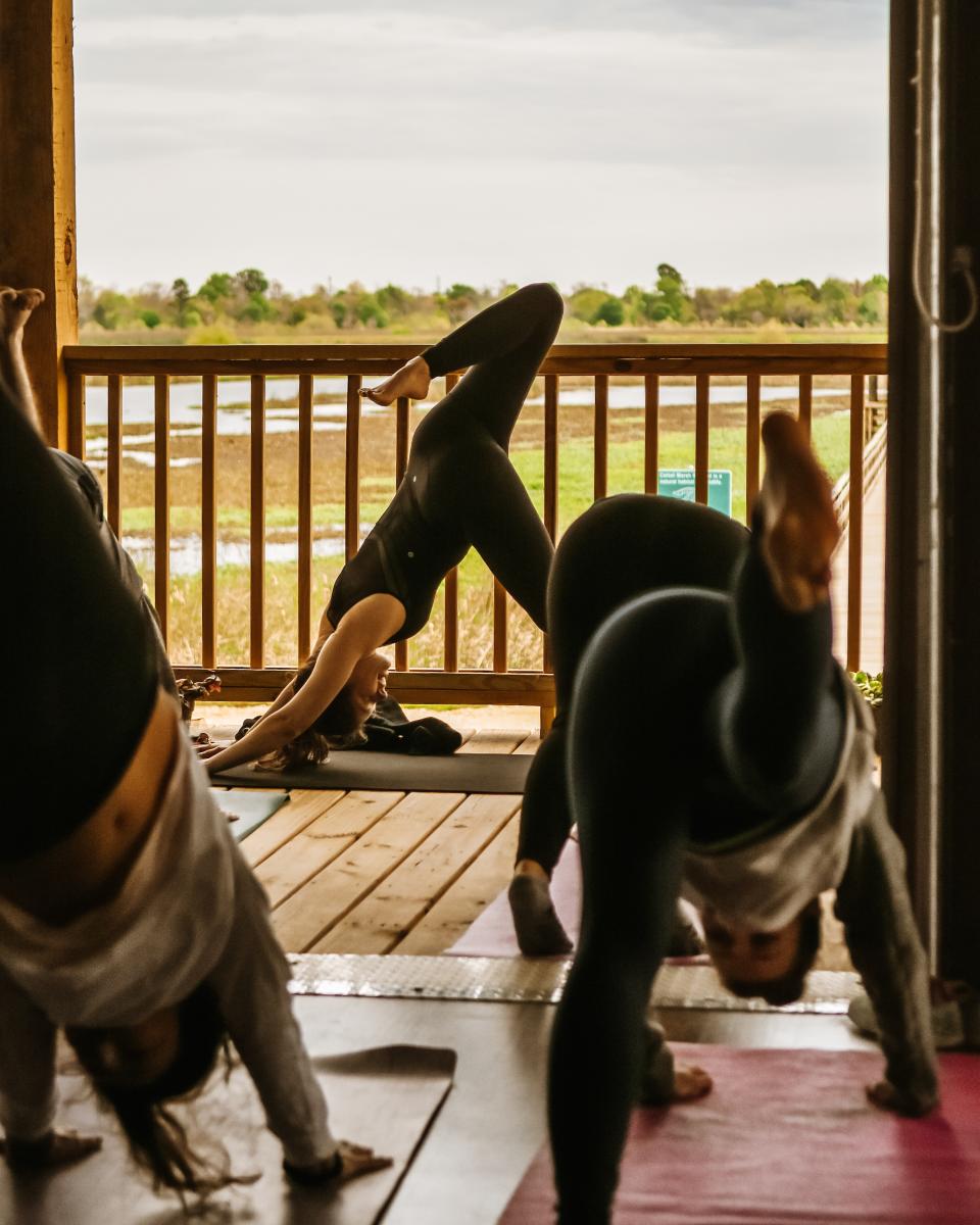 Yoga CTM