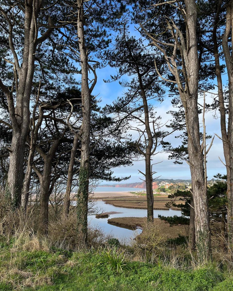 otter estuary
