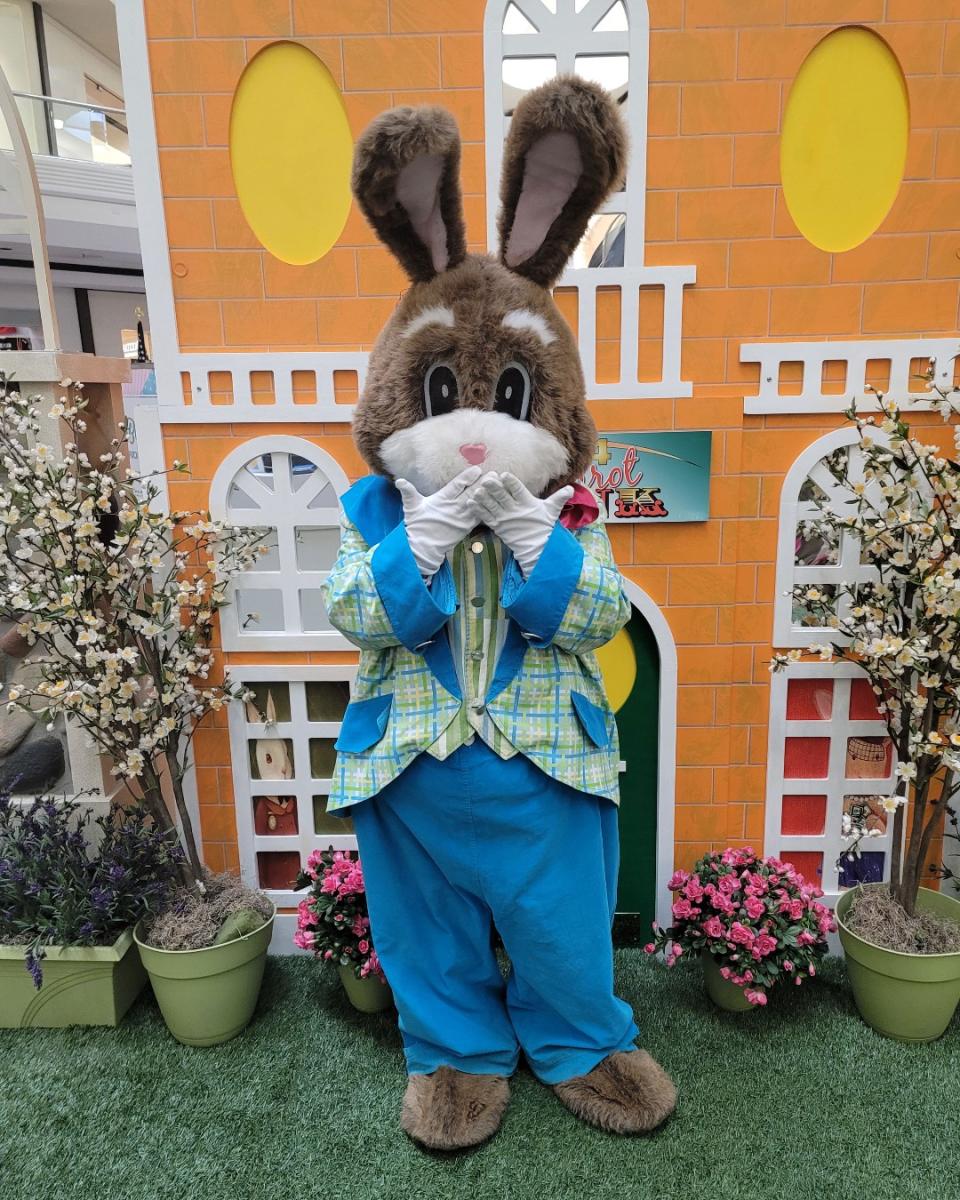 Fair Oaks Mall Easter Bunny