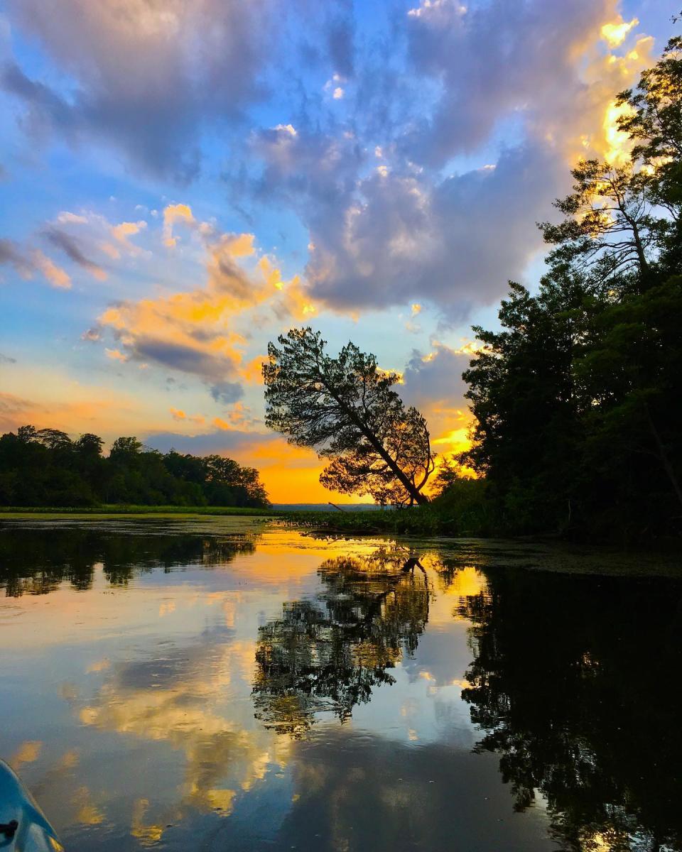 Mason Neck State Park - Sunset - @est__73