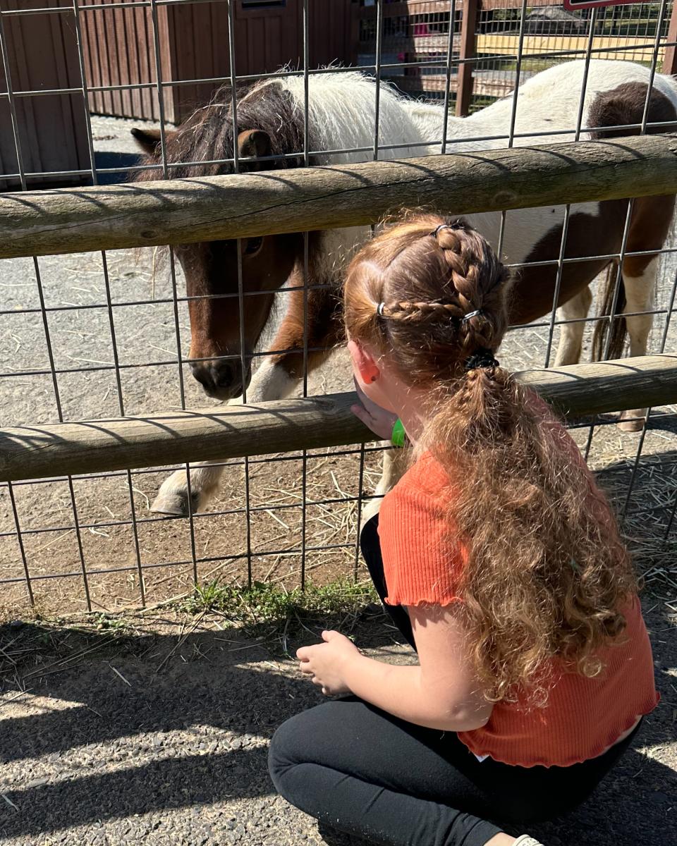girl at a petting zoo looking at a miniature horse behind a fence
