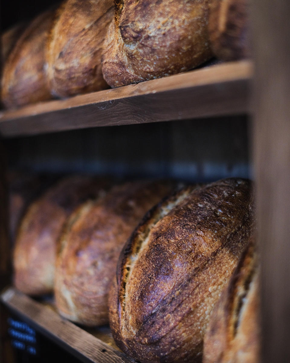loaves of sourdough lined up on counter