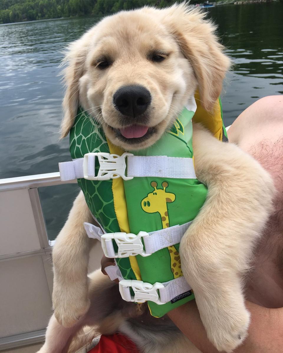 Dog Friendly Jackson County
