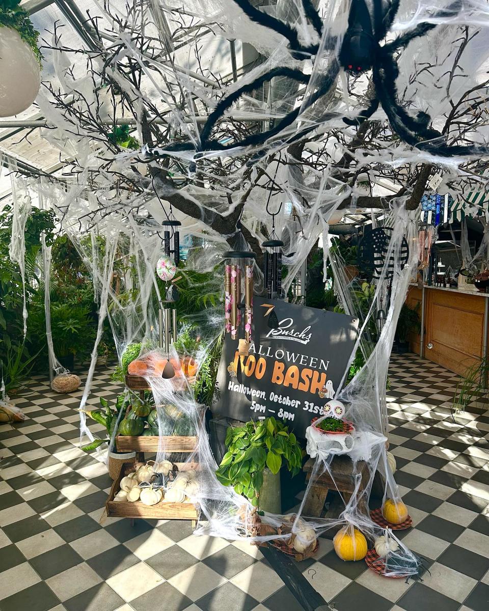 busch's florist boo bash