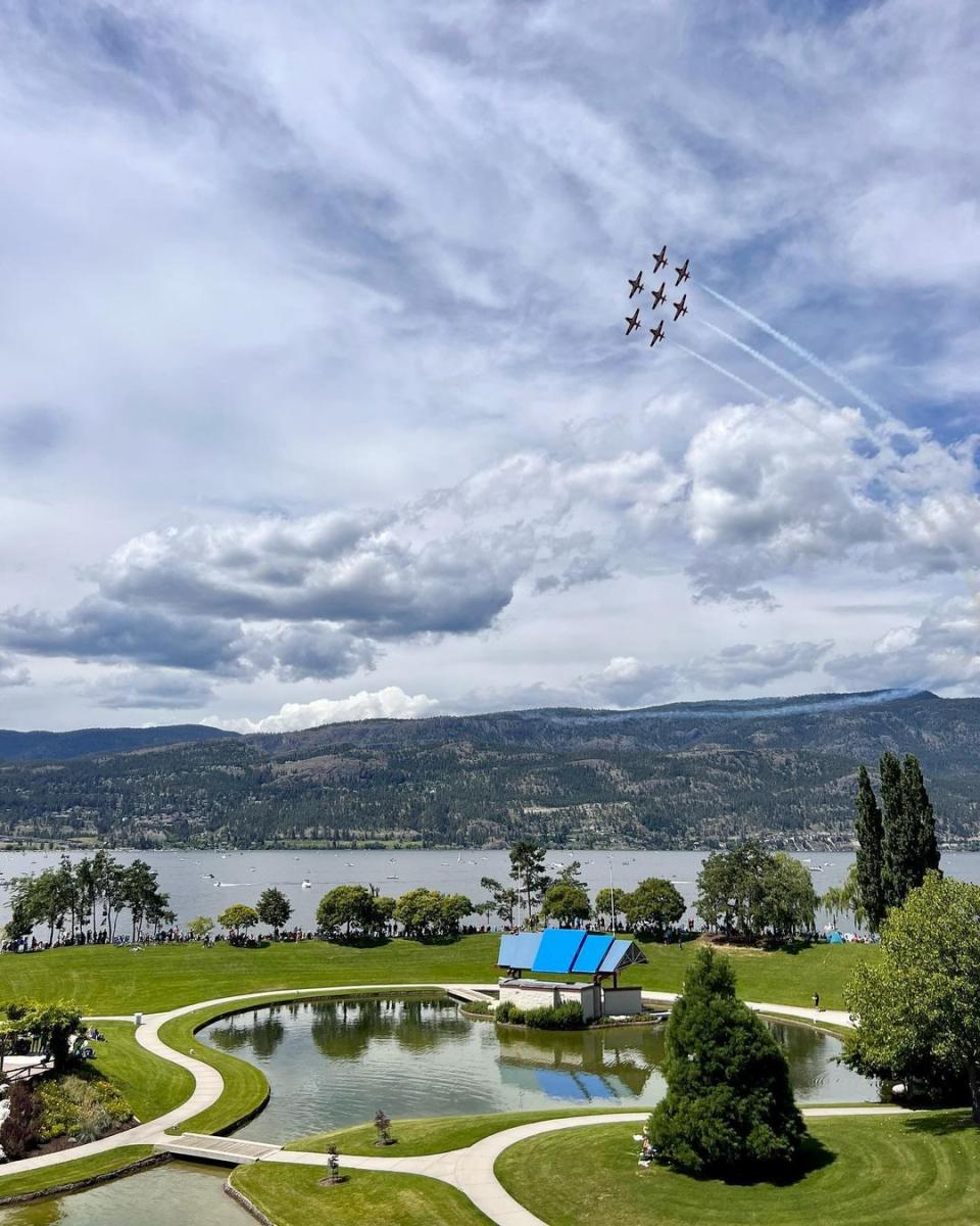 Canadian Forces Snowbirds