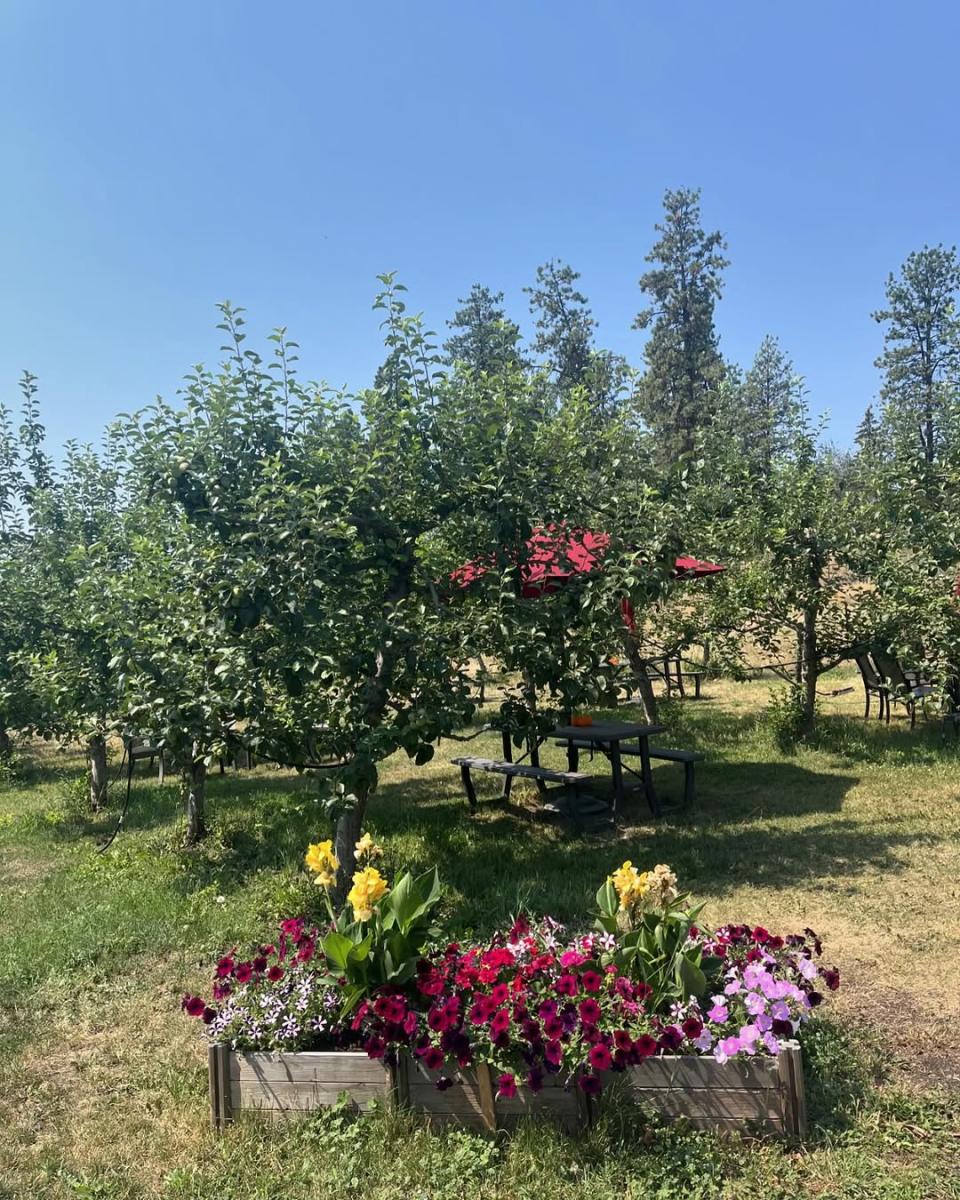 Scenic Road Cider Picnic Area