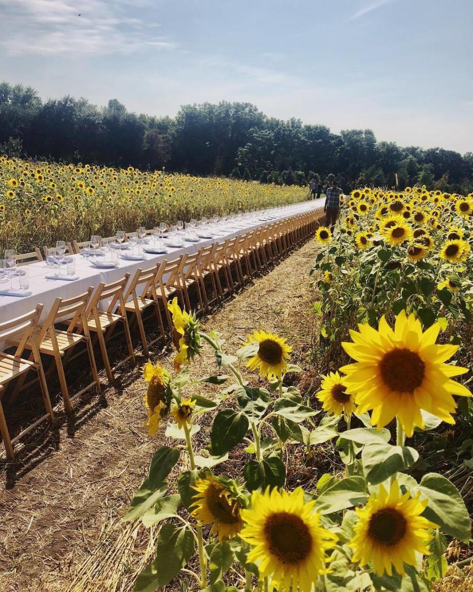 Maple Bottom Farm Farm-to-Table Dinner