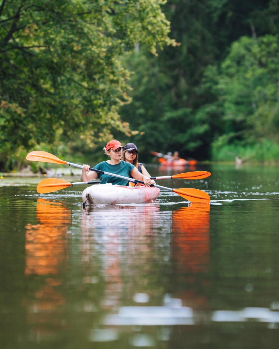 River Raisin Canoe Livery
