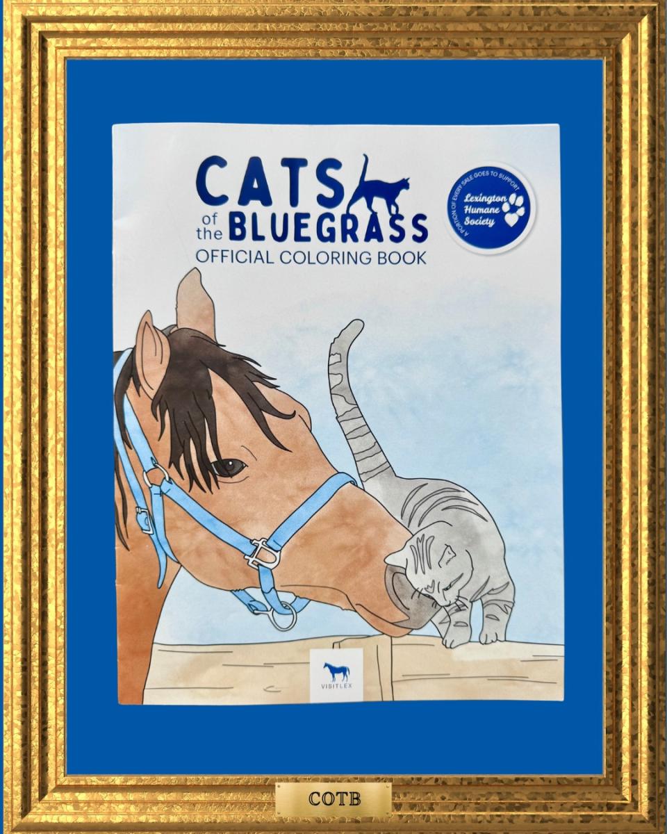 Coloring book in a gold frame with a horse and cat