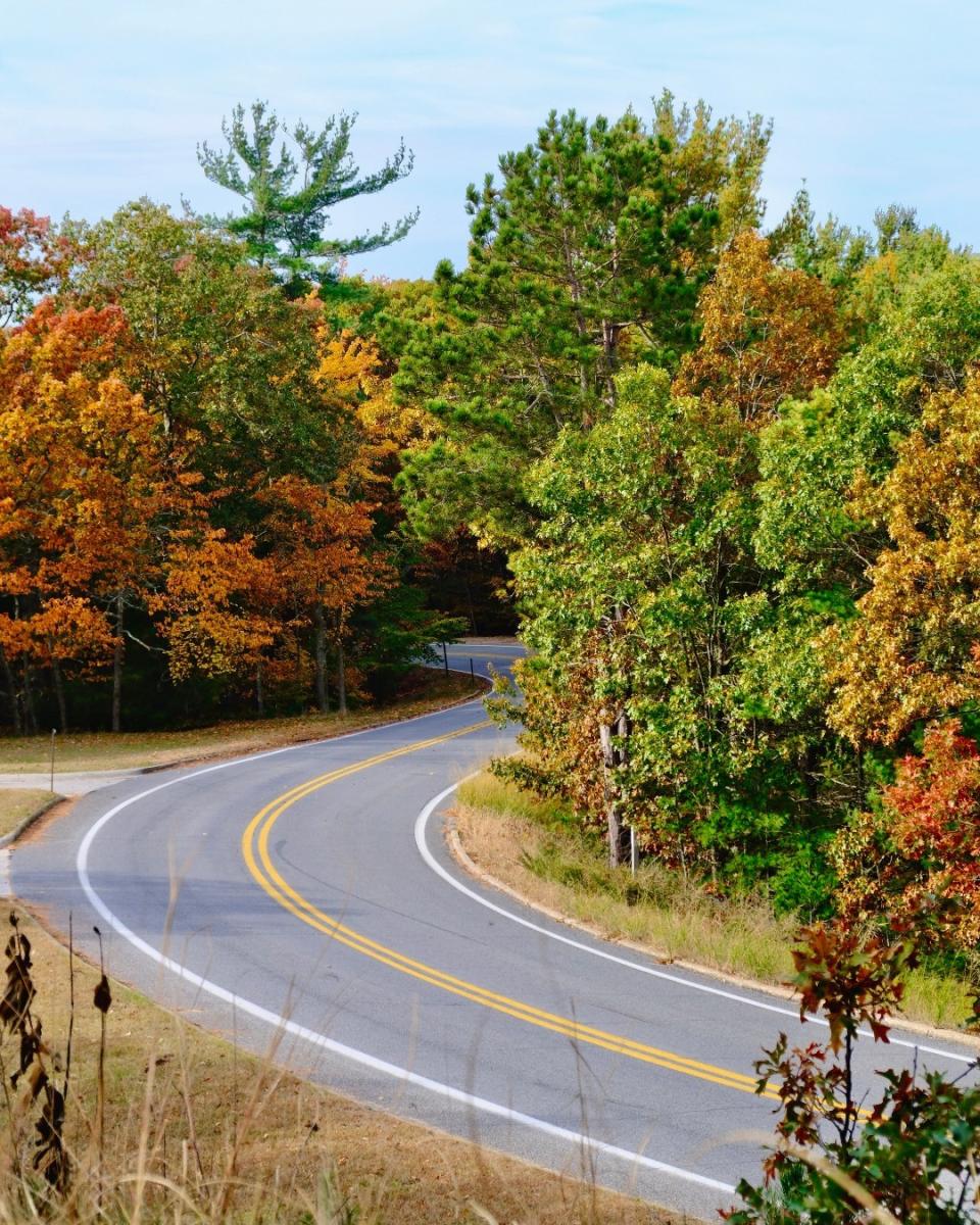 A winding road, Scenic Drive in North Muskegon, surrounded by colorful autumn foliage in a forested Muskegon State park.