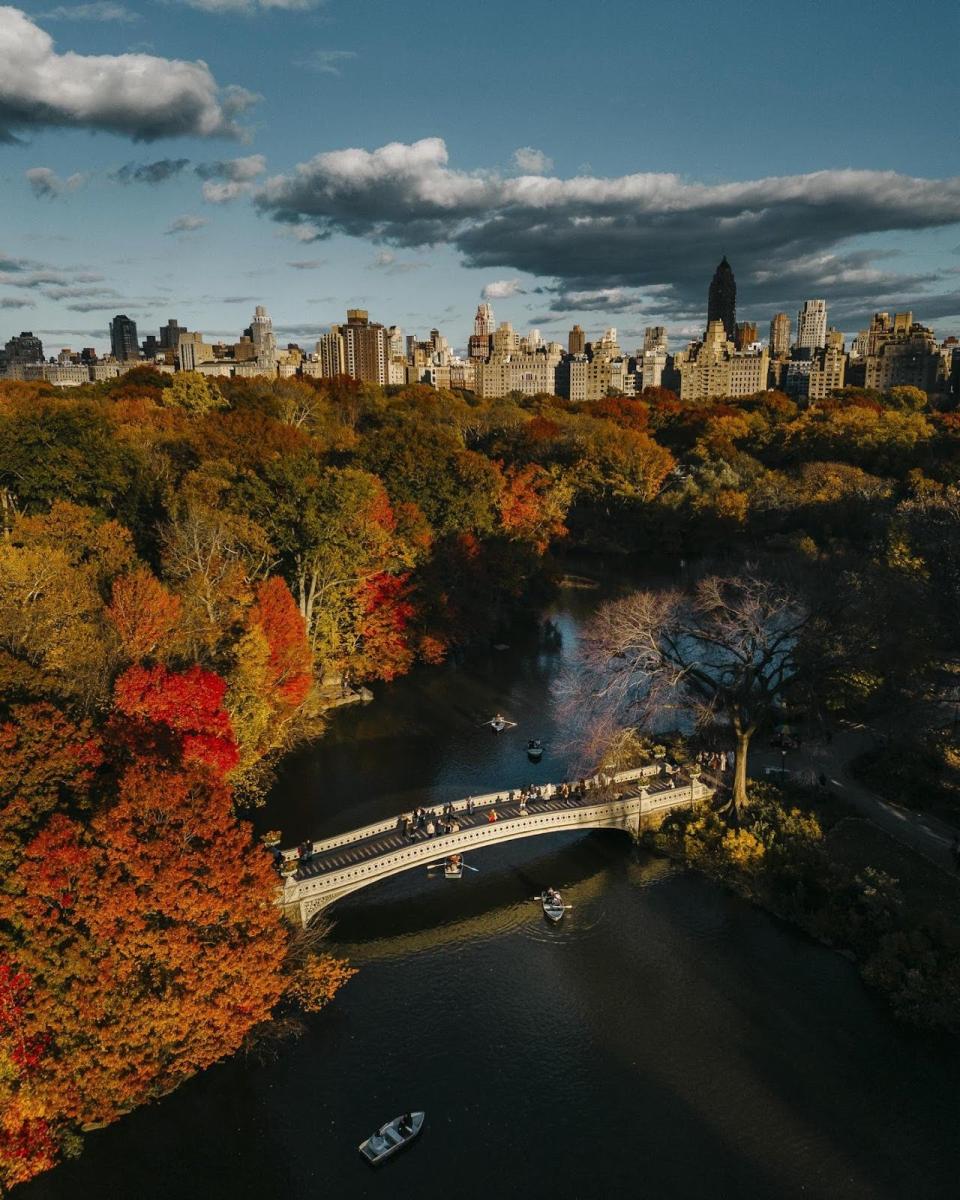 Central Park Bridge Aerial View