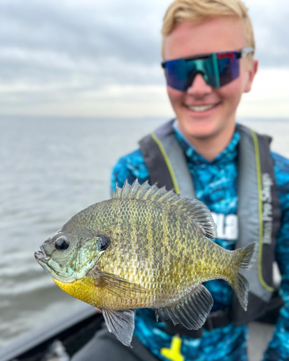 Panfish Lake Winnebago