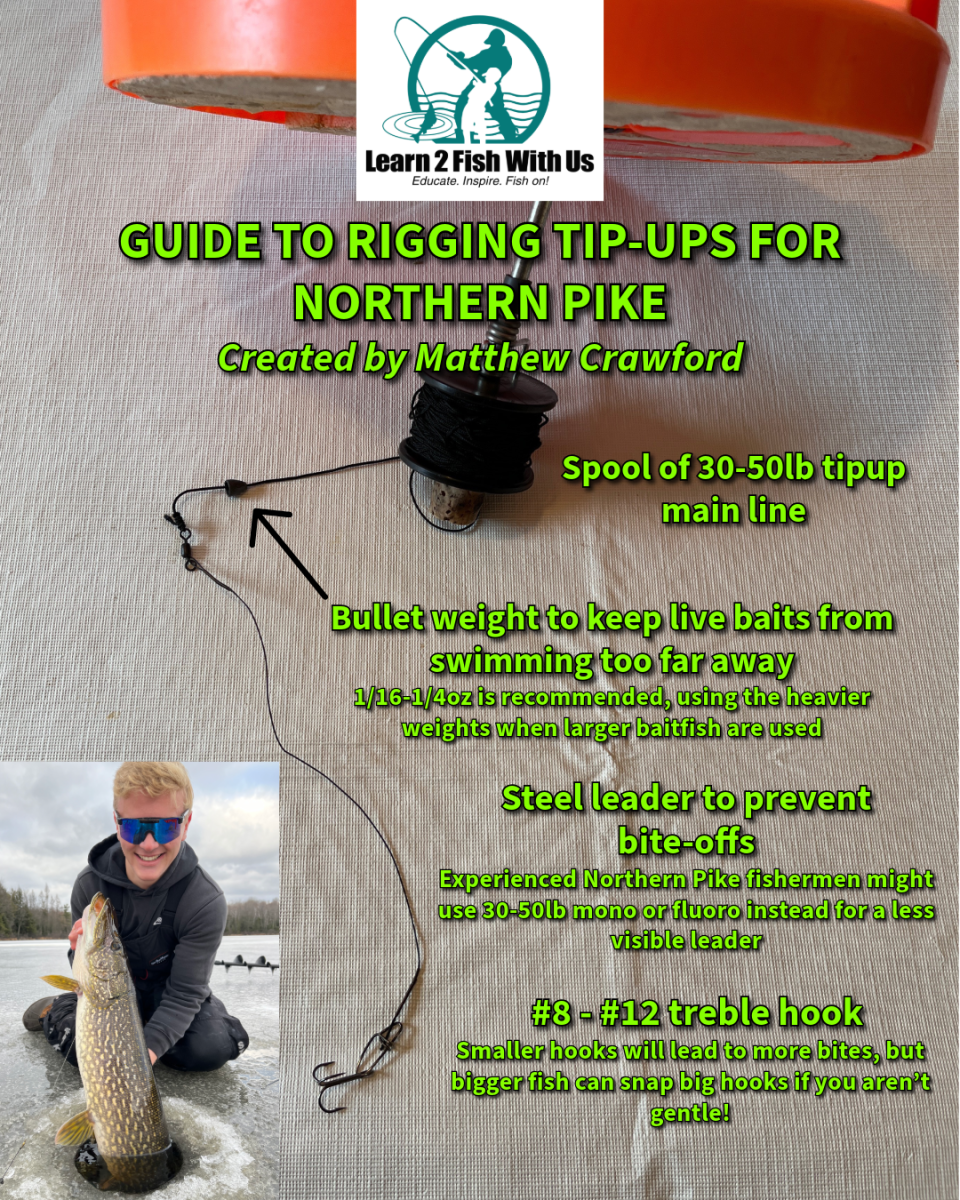 Northern Pike Guide
