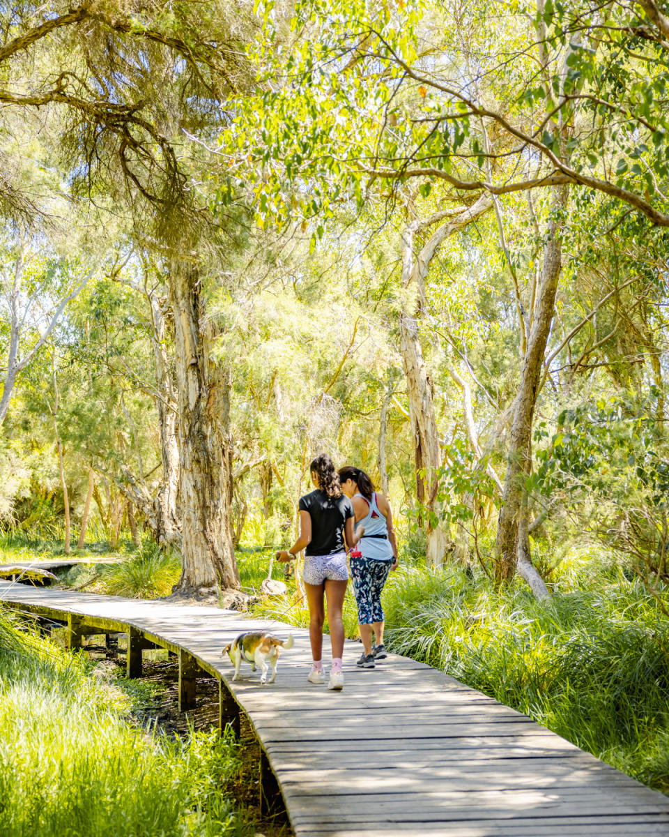 Yellagonga Regional Park | Joondalup