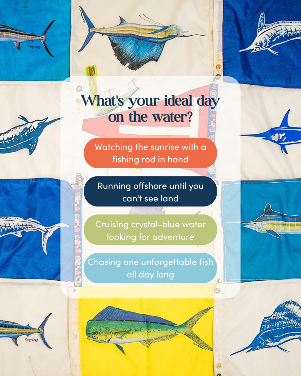 fish quiz blog