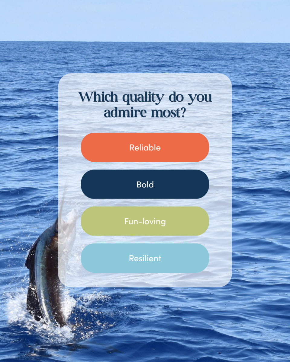 fish quiz blog