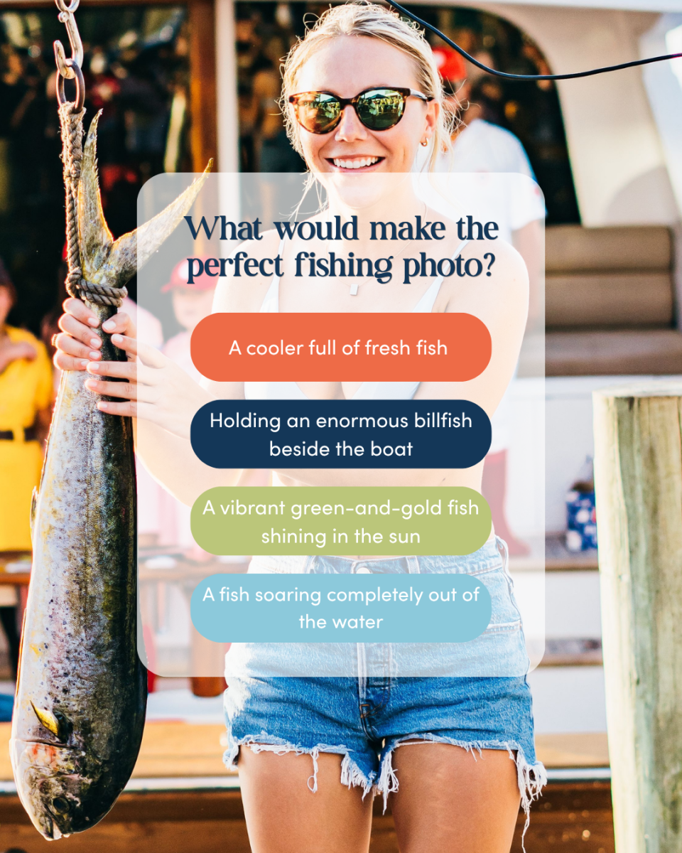 fish quiz blog