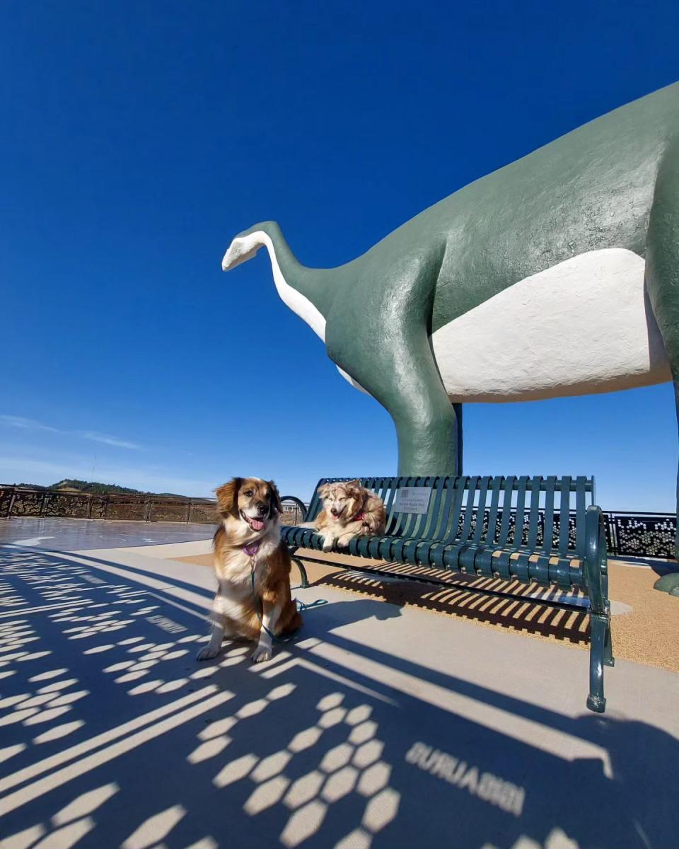 Two dogs are on a sunny platform; one sits on a green bench, the other stands beside it. A giant dinosaur statue is prominently behind them.